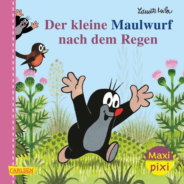 Maxi Pixi 200: VE 5 Der Maulwurf nach dem Regen (5 Exemplare) (Buch)