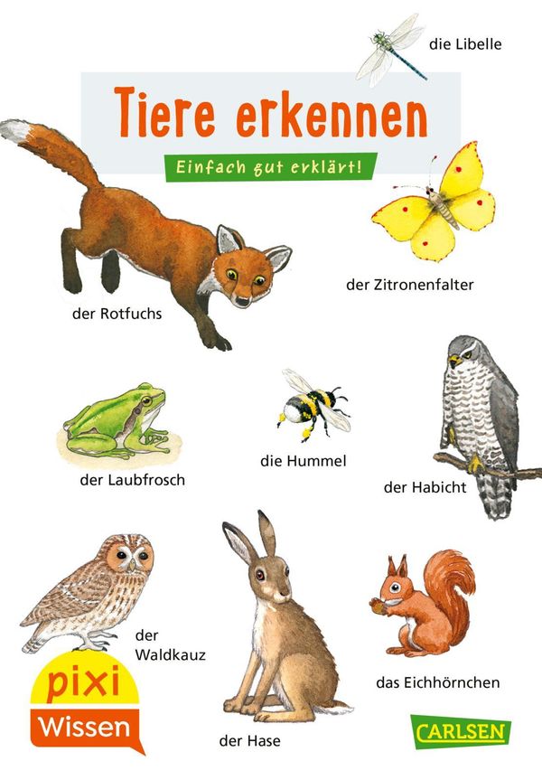 Pixi Wissen 30: VE 5 Tiere erkennen - Hanna Sörensen (Buch)