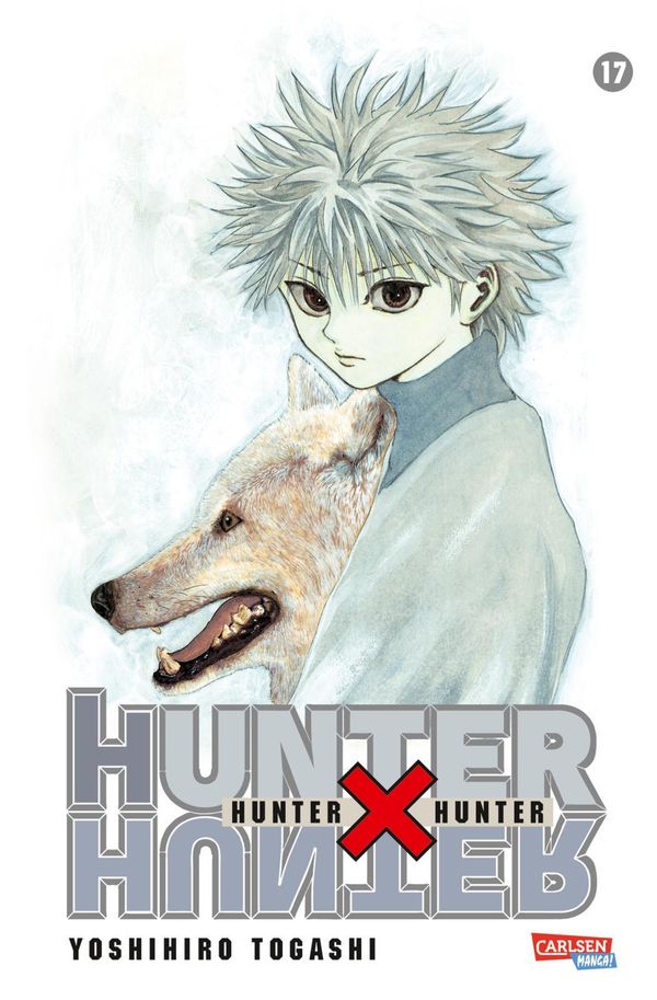 Hunter X Hunter 17 - Yoshihiro Togashi (Buch)
