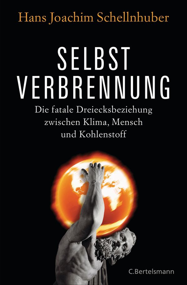 Selbstverbrennung - Hans Joachim Schellnhuber (Buch)