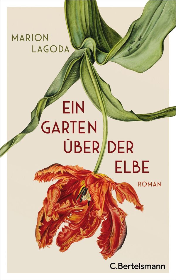 Ein Garten über der Elbe - Marion Lagoda (Buch)
