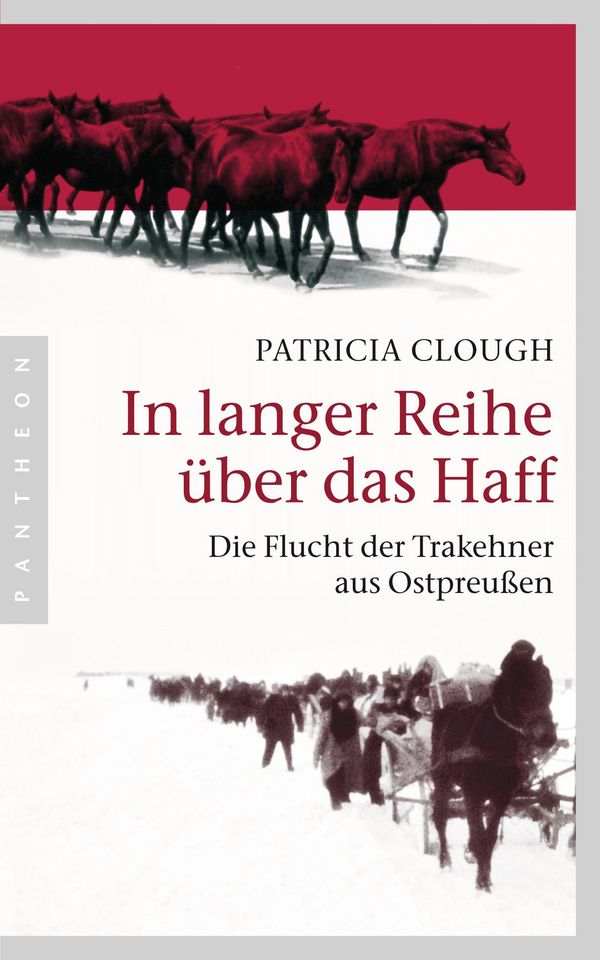 In langer Reihe über das Haff - Patricia Clough (Buch)