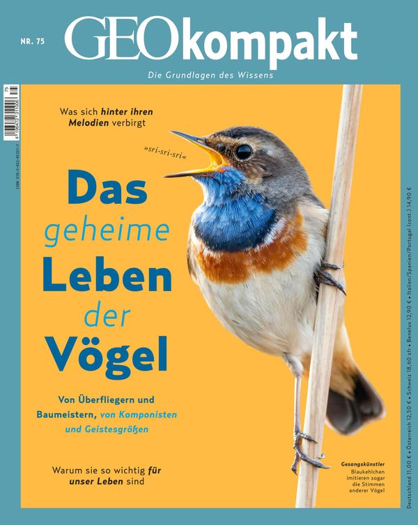 GEOkompakt / GEOkompakt 75/2023 - Das geheime Leben der Vögel (Buch)