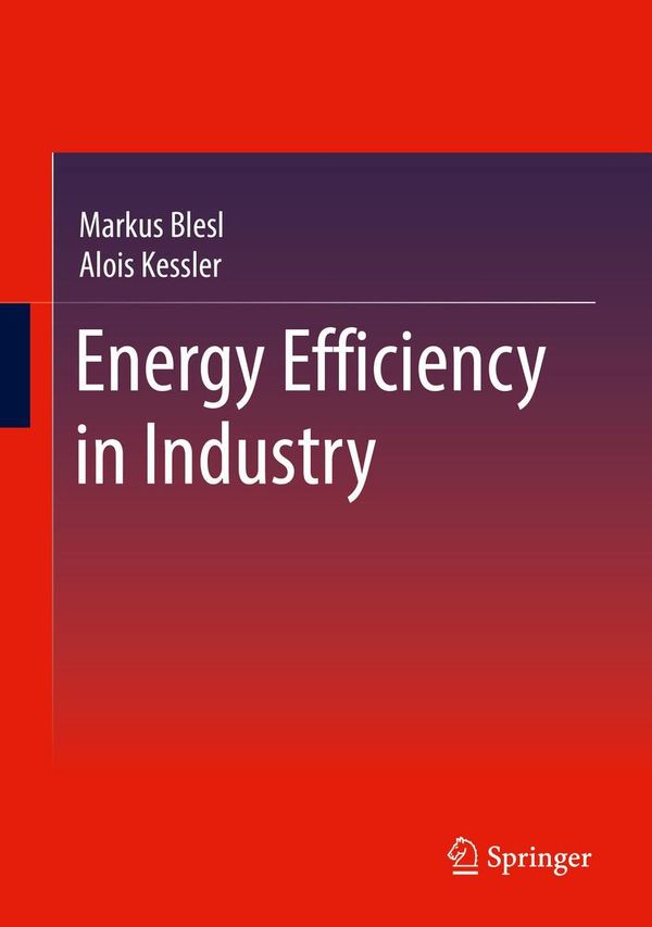 Energy Efficiency in Industry - Markus Blesl (Buch)