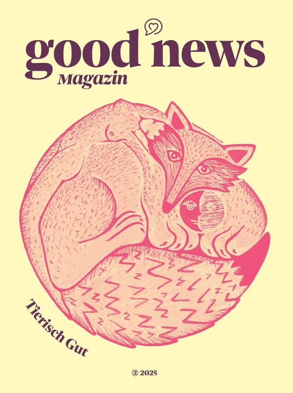 Good News Magazin (Buch)