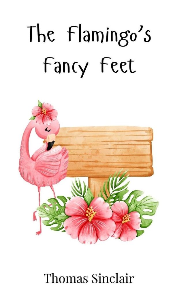 The Flamingos Fancy Feet - Thomas Sinclair (Buch)