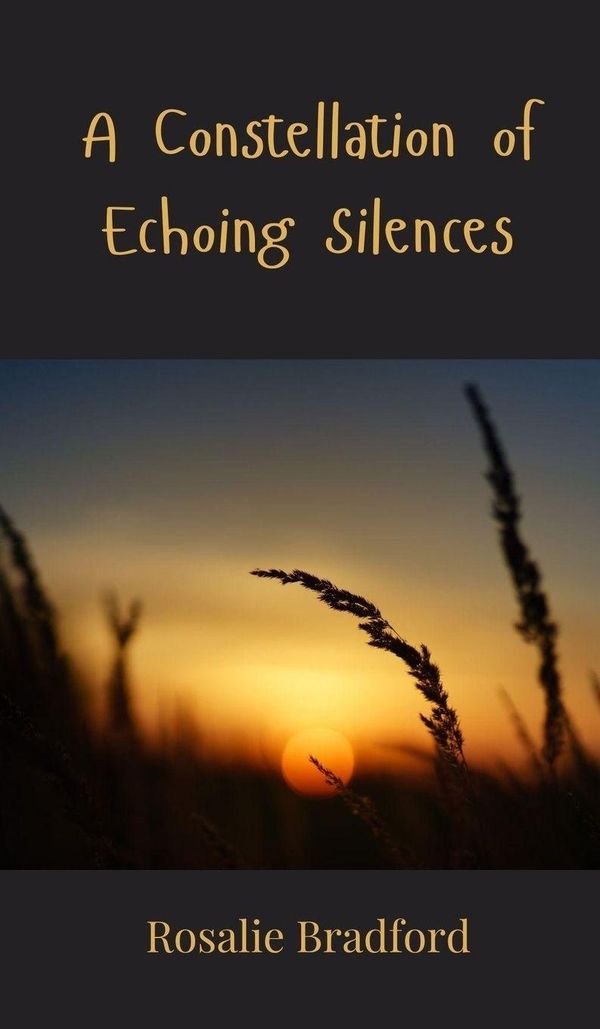 A Constellation of Echoing Silences - Rosalie Bradford (Buch)