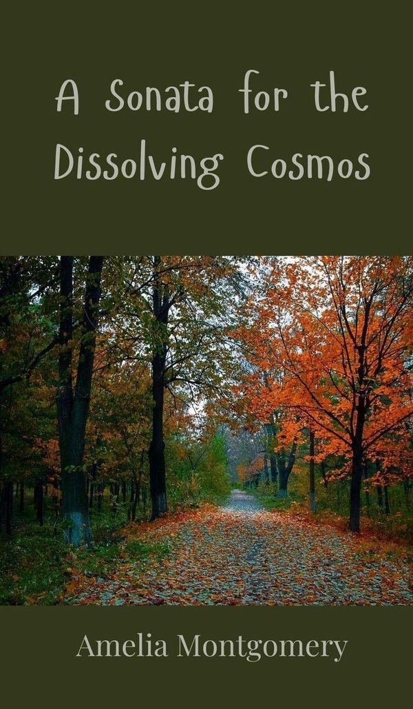 A Sonata for the Dissolving Cosmos - Amelia Montgomery (Buch)