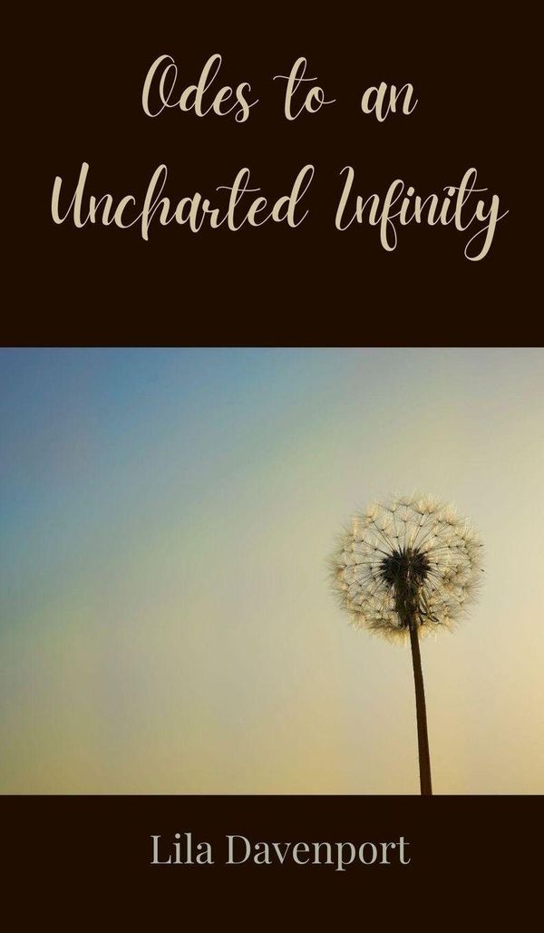 Odes to an Uncharted Infinity - Lila Davenport (Buch)
