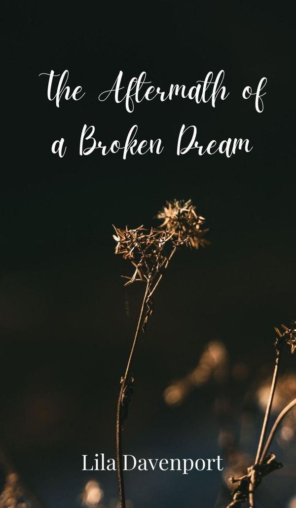 The Aftermath of a Broken Dream - Lila Davenport (Buch)
