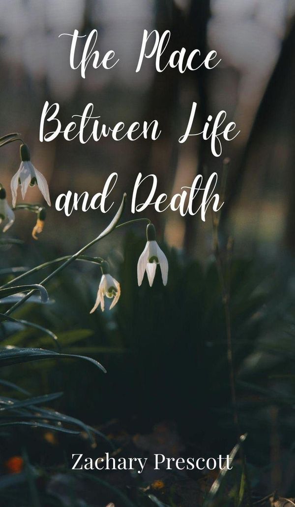 The Place Between Life and Death - Zachary Prescott (Buch)