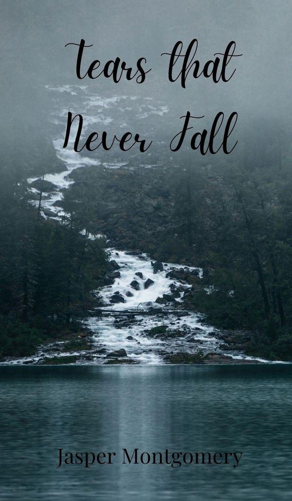 Tears that Never Fall - Jasper Montgomery (Buch)