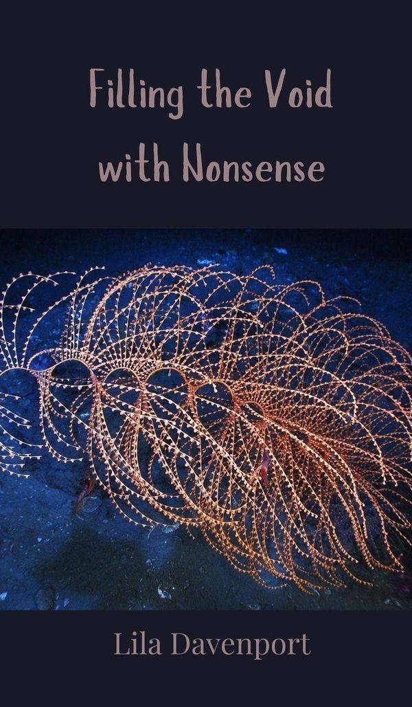Filling the Void with Nonsense - Lila Davenport (Buch)