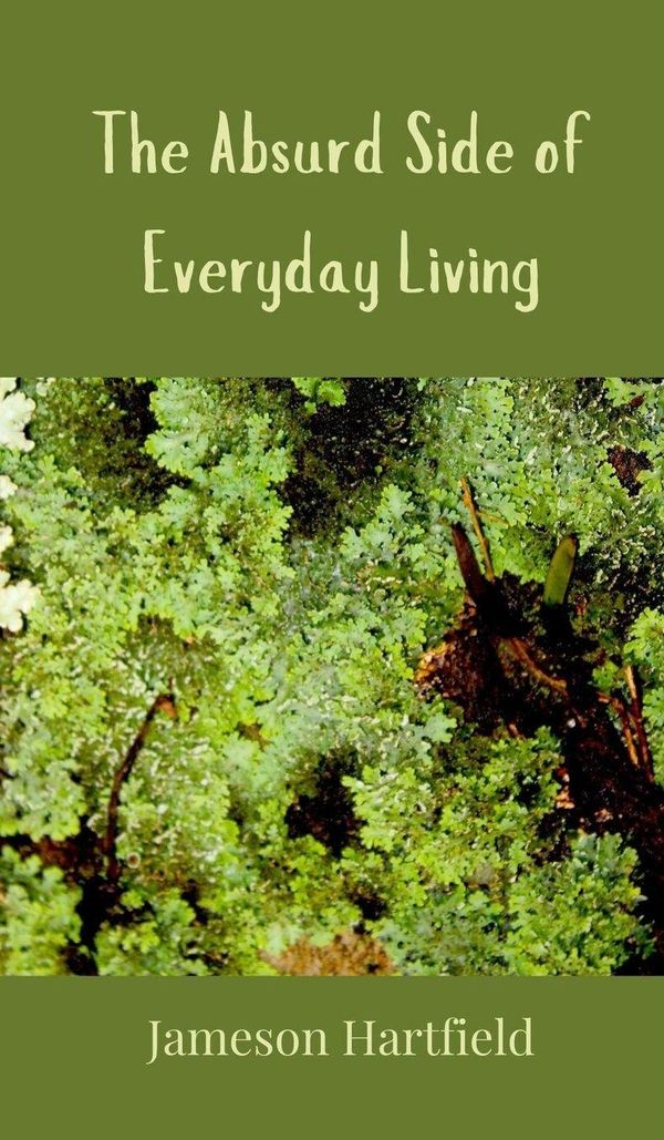 The Absurd Side of Everyday Living - Jameson Hartfield (Buch)