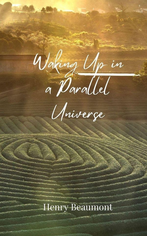 Waking Up in a Parallel Universe - Henry Beaumont (Buch)
