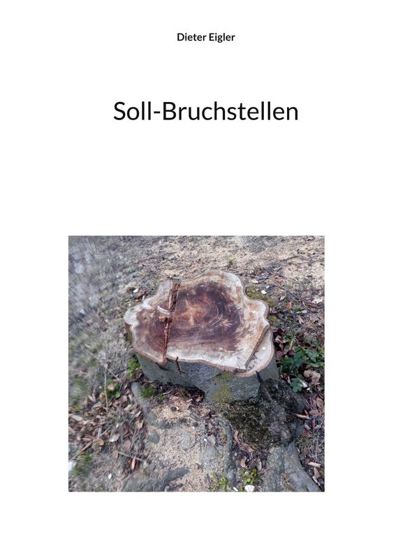 Soll-Bruchstellen - Dieter Eigler (Buch)