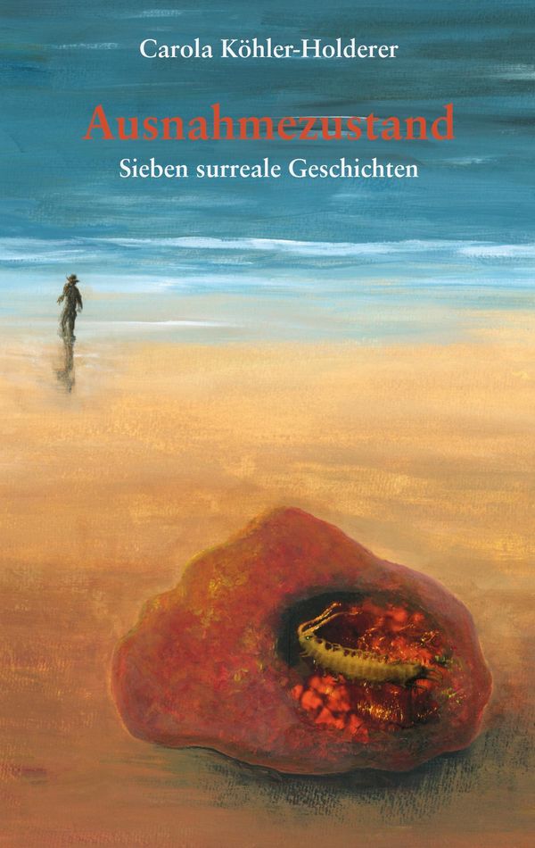 Ausnahmezustand - Carola Köhler-Holderer (Buch)