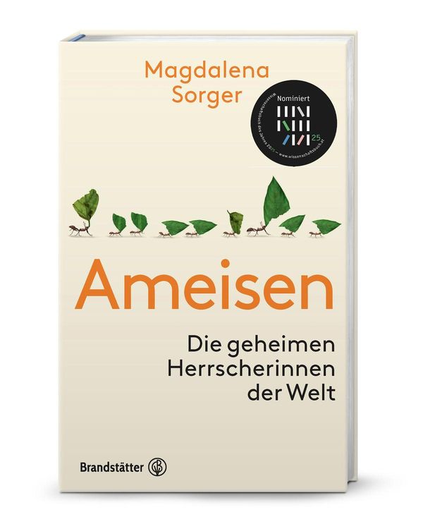 Ameisen - Magdalena Sorger (Buch)