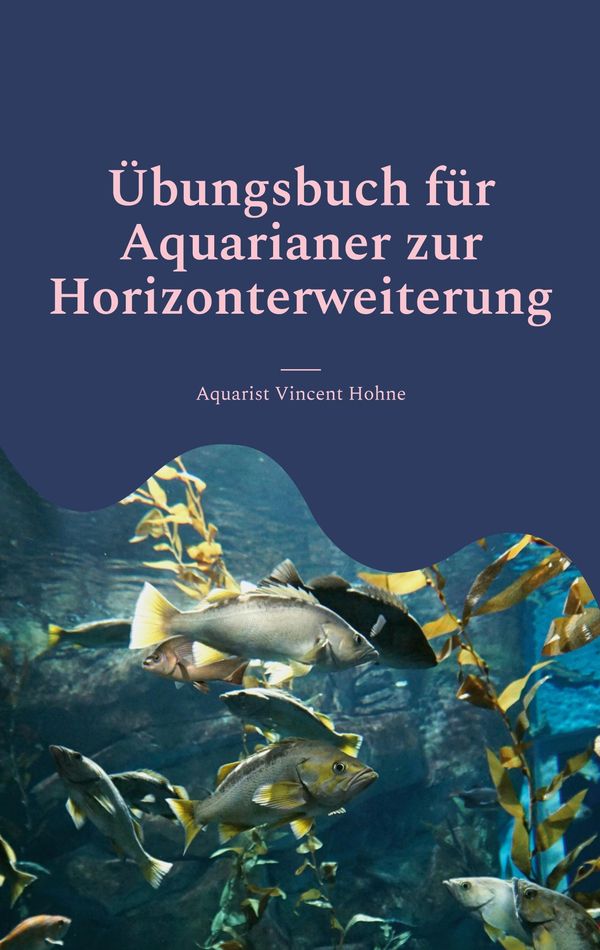 Übungsbuch für Aquarianer zur Horizonterweiterung (Buch)