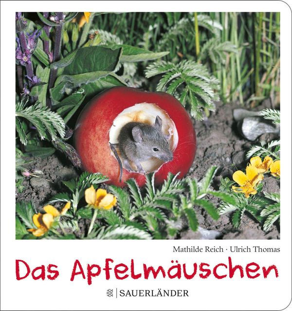 Das Apfelmäuschen (Pappbilderbuch) - Mathilde Reich (Buch)