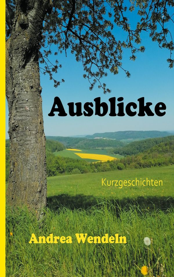 Ausblicke - Andrea Wendeln (Buch)