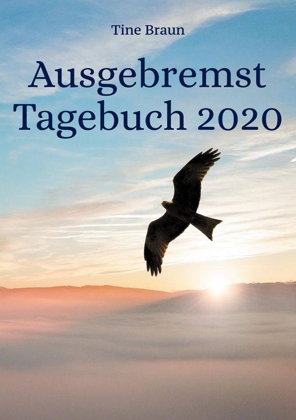 Ausgebremst Tagebuch 2020 - Tine Braun (Buch)