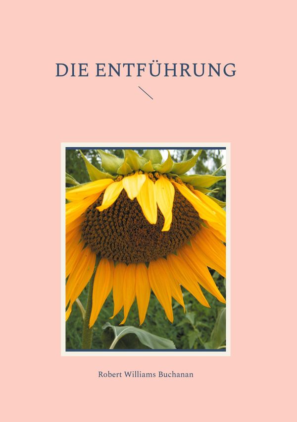 Die Entführung - Robert Williams Buchanan (Buch)