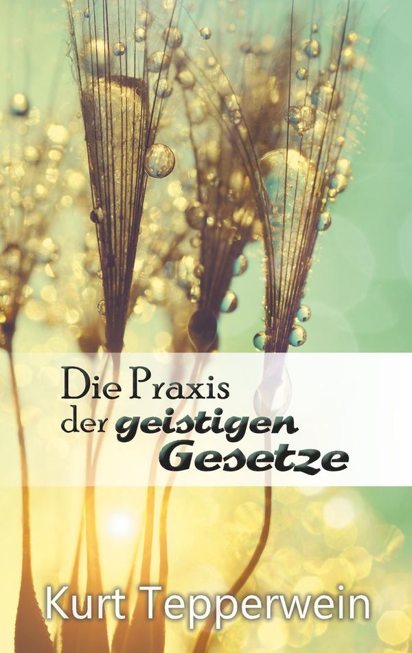 Die Praxis der geistigen Gesetze - Kurt Tepperwein (Buch)