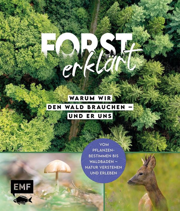Forst erklärt: Warum wir den Wald brauchen - und er uns (Buch)