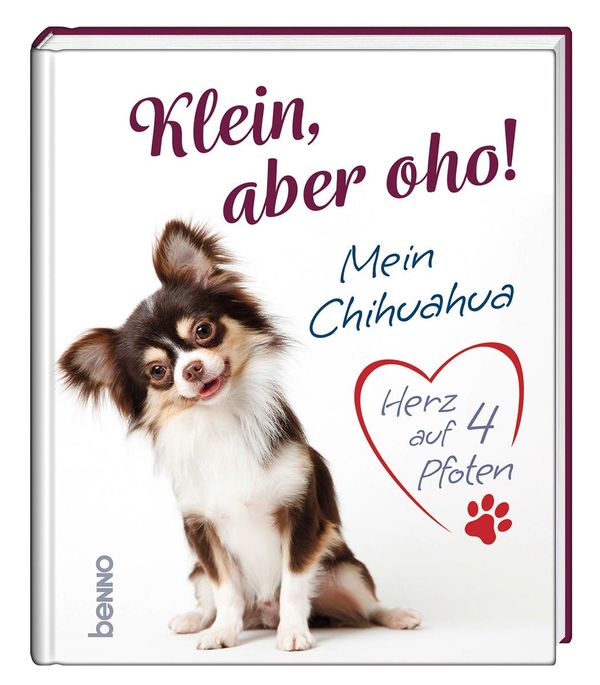 Klein, aber oho! (Buch)