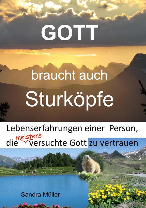 Gott braucht auch Sturköpfe - Sandra Müller (Buch)