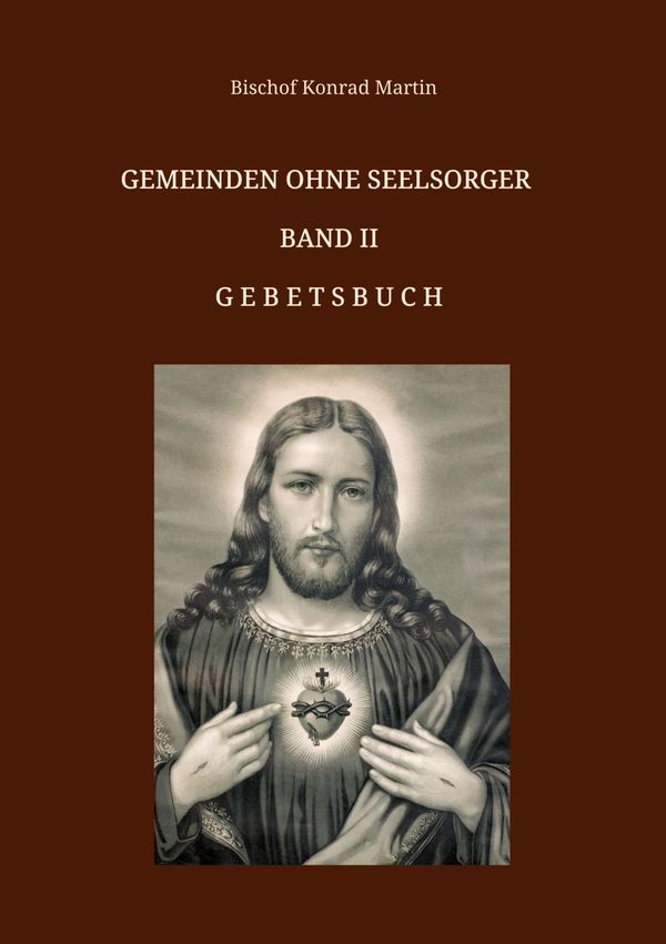 Gemeinden ohne Seelsorger, Band II - Bischof Konrad Martin (Buch)