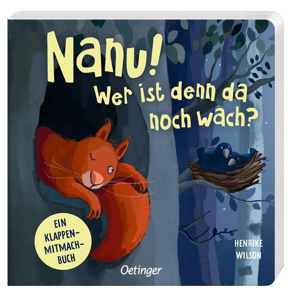 Nanu! Wer ist denn da noch wach? - Henrike Wilson (Buch)