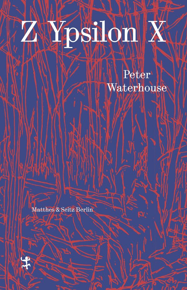 Z Ypsilon X - Peter Waterhouse (Buch)
