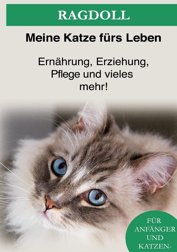 Ragdoll - Meine Katze fürs Leben Ratgeber (Buch)