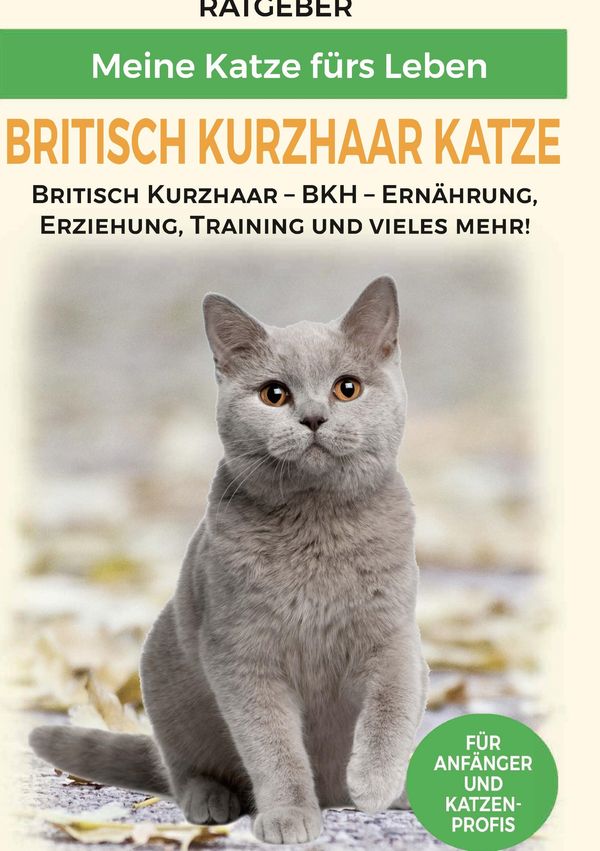 Britisch Kurzhaar Katze - Meine Katze fürs Leben Ratgeber (Buch)