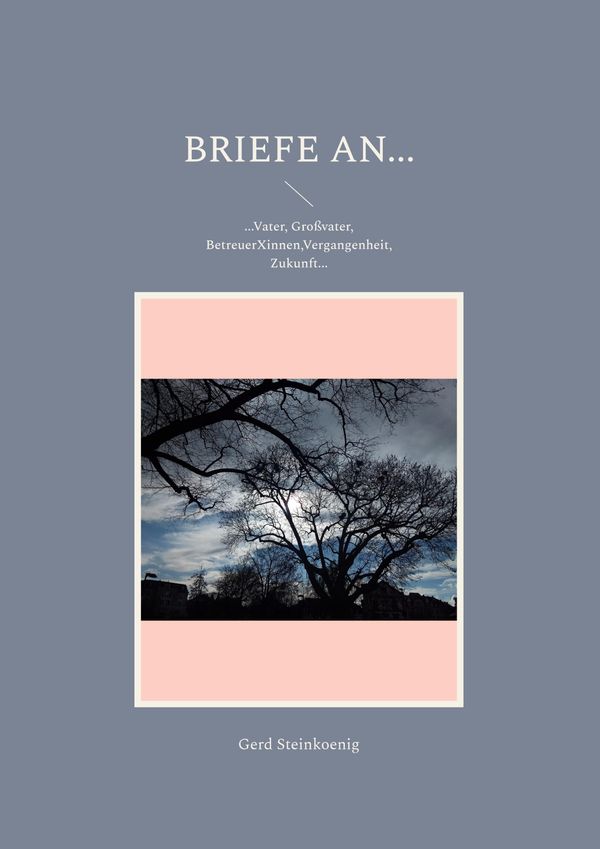 Briefe an... - Gerd Steinkoenig (Buch)