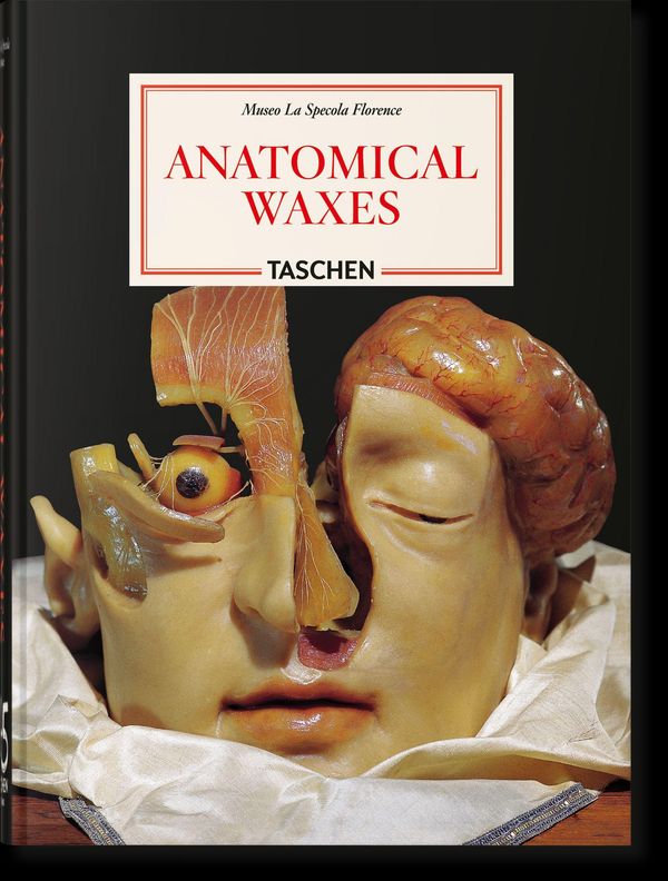 Anatomical Waxes - Marta Poggesi (Buch)