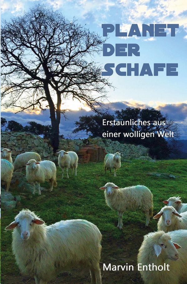 Planet der Schafe - Marvin Entholt (Buch)