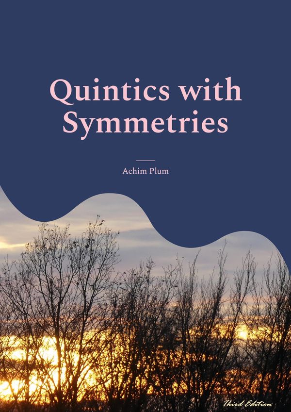 Quintics with Symmetries - Achim Plum (Buch)