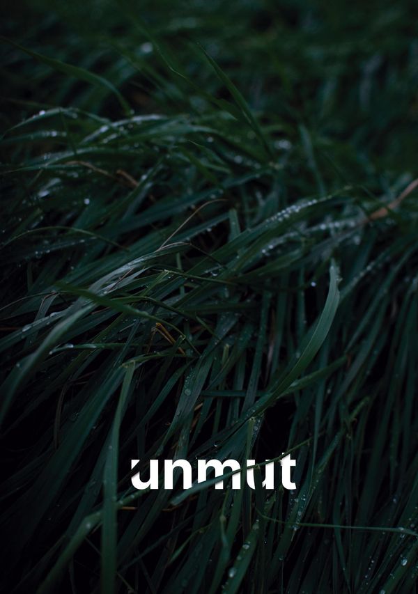Unmut - Maurice Graft (Buch)