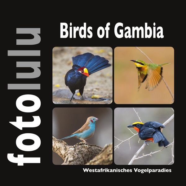 Birds of Gambia - Sr. Fotolulu (Buch)