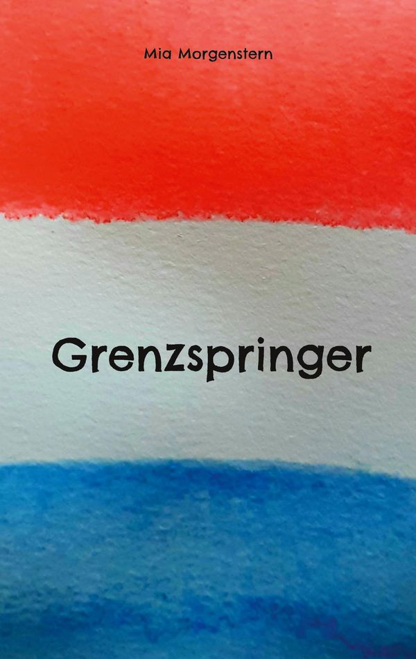 Grenzspringer - Mia Morgenstern (Buch)