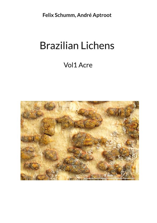 Brazilian Lichens - Felix Schumm (Buch)