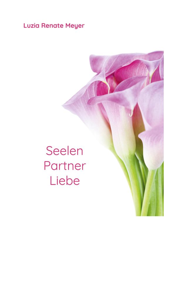 SeelenPartnerLiebe - Luzia Renate Meyer (Buch)