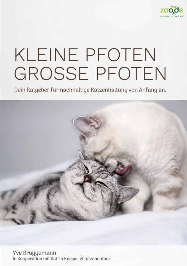 Kleine Pfoten, Große Pfoten - Yve Brüggemann (Buch)
