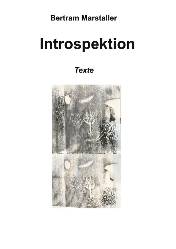 Introspektion - Bertram Marstaller (Buch)