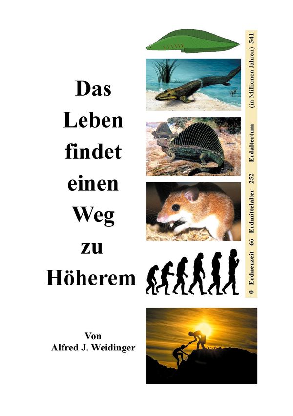 Das Leben findet einen Weg zu Höherem - Alfred J. Weidinger (Buch)