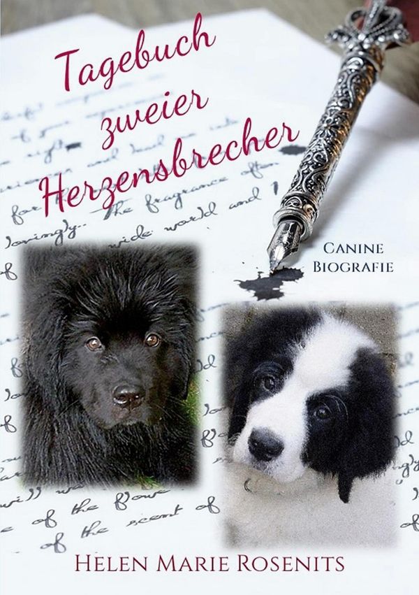 Tagebuch zweier Herzensbrecher - Helen Marie Rosenits (Buch)