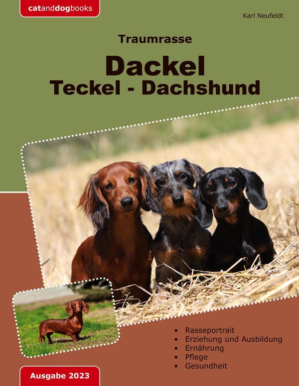 Traumrasse: Dackel Teckel Dachshund - Karl Neufeldt (Buch)